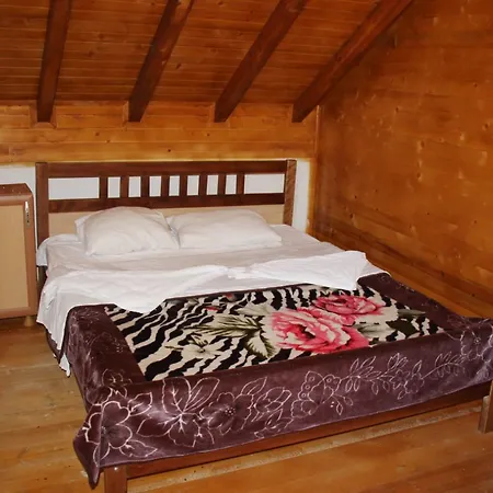 Holiday home Valbona Valley *
